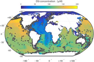 Assessing the Potential of Sponges (Porifera) as Indicators of Ocean Dissolved Si Concentrations